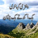 سونڑے رب دا کلام | زبور(۱۴:۱۰۴)