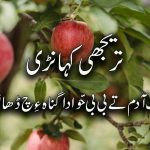 سونڑے رب دا کلام | امثال(۱۱:۱۴)