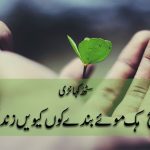 پیاسا میڈے کول آوے | قسط نمبر ۱۱