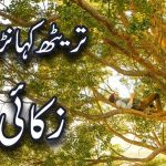 خُداوند دے ءچ مسرور رہ | قسط نمبر ۱۲