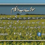 کلام دی سچائی | حصہ 3 | قسط نمبر ۴