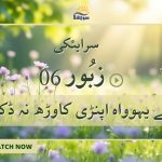 سرایئکی زبُور | زبور 22 (ڈوجا حصہ) خُدایا اپنڑے بھراواں کوں |