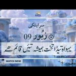 سرایئکی زبُور | زبور 48 تیڈی ہیکل دے وچ کیتا |